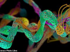 As simples mudanças na dieta que podem ajudar a combater os cancros mais agressivos e difíceis de tratar… enquanto os especialistas aclamam o tratamento inovador que pode “morrer de fome” os tumores