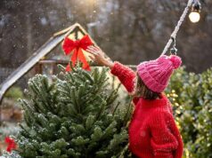 Como o Natal está mais caro do que nunca: a investigação do Daily Mail revela o verdadeiro custo surpreendente do período festivo… e os itens essenciais que são mais caros