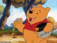 AN WILSON: Pooh é obeso. Bisonho está deprimido. E o Tigrão tem TDAH… É por isso que os editores acordados de hoje não tocariam nos contos alegremente humorísticos de AA Milne com um bastão Pooh!