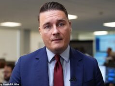 A tentativa de Wes Streeting de se aproximar da UE é uma ‘tiro inicial’ de um desafio a Sir Keir Starmer