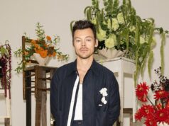 Harry Styles finalmente começa a trabalhar em seu projeto de megamansão de £ 18 milhões – completo com QUATRO camarins, uma galeria de arte e um pátio interno