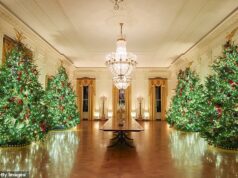 Melania Trump e Jill Biden se enfrentam na enquete do Daily Mail sobre a melhor decoração de Natal da Casa Branca – e há um vencedor claro