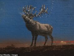 Este é um novo Banksy? Rena com luzes de Natal aparece em London Fields dois dias depois de sua última obra de arte