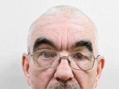 Teme que o faz-tudo de Nova York seja um serial killer, pois é acusado do terceiro assassinato… e os policiais alertam que pode haver mais vítimas