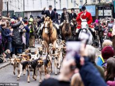 A caça ao Boxing Day desafia Chris Packham e o conselho local a seguir em frente com a tradição centenária à medida que a proibição trabalhista se aproxima