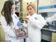 Espero que o tratamento “revolucionário” para a doença de Alzheimer esteja a apenas cinco a 10 anos de distância