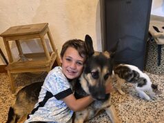 Eu também queria ter sido levada, diz mãe de menino britânico, de 13 anos, morto a facadas pelo ex-companheiro em Portugal