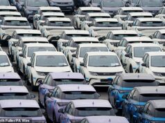 Taxas de mortalidade em híbridos ‘três vezes superiores às dos carros a gasolina’, conforme especialistas em segurança rodoviária pedem investigação