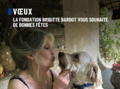 As últimas postagens de Brigitte Bardot nas redes sociais mostram-na fazendo o que amava e parecendo extremamente saudável, sem os cuidados com os quais confiou em seus últimos anos – poucos dias antes de sua morte.