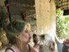 Brigitte Bardot será enterrada ‘rodeada por seus animais’ em St Tropez