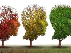 Esta é a maneira simples de evitar o desenvolvimento de demência… mas poucos médicos ou pacientes sabem disso: o importante professor de cérebro ADAM GREENSTEIN revela o principal fator por trás da doença… e o que você deve fazer