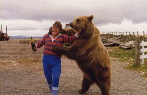 Os telespectadores da BBC2 elogiam o ‘brilhante e hilário’ Hércules, o Urso, como a improvável história de amor verdadeira de um lutador escocês aposentado e do 65º urso pardo que ele ‘tratou como um filho’.