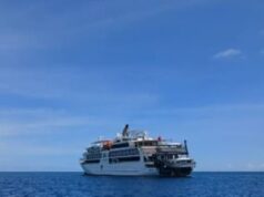 Coral Adventurer é DETIDO depois de ficar preso em um recife de coral na Papua Nova Guiné – poucas semanas depois que um passageiro idoso morreu após ser deixado para trás na Ilha Lizard