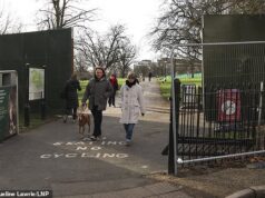 Um dos locais mais populares para ver fogos de artifício na véspera de Ano Novo de Londres é transformado em zona proibida para “segurança pública” após esfaqueamento fatal