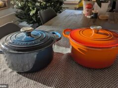 Uma caçarola de £ 20 da Aldi pode realmente combinar com a icônica panela de luxo de £ 300 de Le Creuset? Revelamos os resultados em nossa análise direta