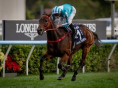 O guerreiro romântico Ka Ying Rising brilha em Hong Kong