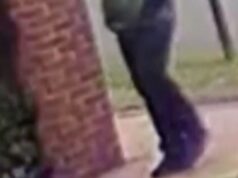 Uma investigação da Brown University revelou novas informações