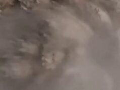 Erupção do gêiser de Yellowstone capturada pela câmera