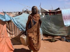 UE lança voos de ajuda para Darfur, no Sudão, à medida que a crise humanitária aumenta | Notícias sobre crises humanitárias