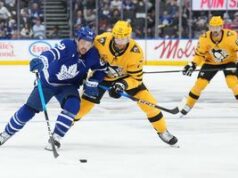 Os pinguins se autodestroem; Erros horríveis se tornam o objetivo de Leaf