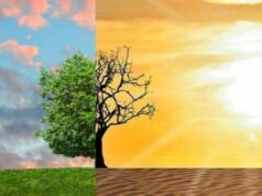 Conferência Digital Carbon destaca o futuro dos estilos de vida sustentáveis