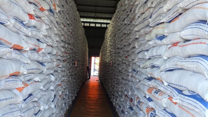 67f911a19d5ec-ilustrasi-beras-bulog_665_374.jpeg