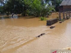 Examinando as condições de saúde e nutrição dos residentes afetados pelas enchentes em Aceh