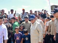 A natureza deve ser respeitada, tratada e não pode ser destruída!