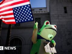 Como os sapos passaram de meme de direita a símbolo de protesto anti-ICE