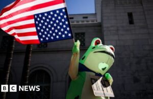 Como os sapos passaram de meme de direita a símbolo de protesto anti-ICE