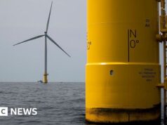 EUA suspendem projetos eólicos offshore por questões de segurança nacional