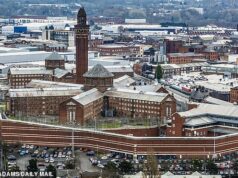 Gangues criminosas que ganham até £ 50.000 por entrega, entregando telefones, drogas e até mesmo comida para viagem nas prisões do Reino Unido, afirma ex-presidiário