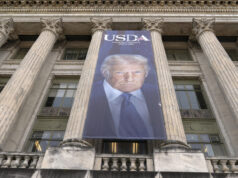 Trump não para de colocar a cara em todos os lugares