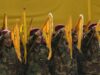 Prazo final para armas do Hezbollah: O que vem a seguir para o Líbano em meio aos ataques israelenses? | Notícias do Hezbollah