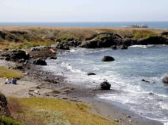 Idosa morre após ser arrastada pelas ondas na praia do condado de Mendocino.