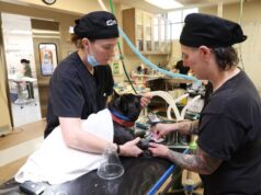 Clínica Animal Fix cria esperança para o tédio