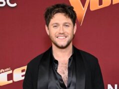 Quantas vezes Niall Horan ganhou o The Voice? Breaking Down é a sua vitória