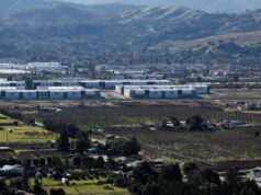 Comemore a véspera de Ano Novo ao meio-dia na Biblioteca Cupertino – The Mercury News