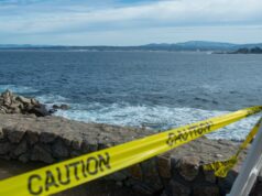 Suposto ataque de tubarão em Lovers Point ocorreu no horário e local onde grandes tubarões vêm se alimentar – The Mercury News