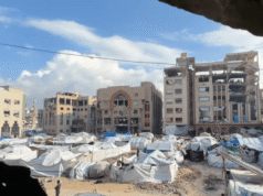 Universidade Islâmica de Gaza retoma aulas no local em meio à destruição israelense | Notícias do conflito Israel-Palestina