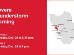 Tempestades com ventos prejudiciais nos condados de Marin e São Francisco quinta-feira – The Mercury News