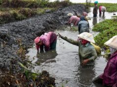 BJP se prepara para campanha nacional para combater o Congresso na disputa do esquema G-RAM-G | Notícias de política