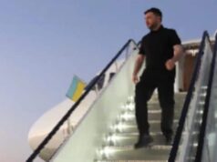 Zelenskyy chega a Miami para conhecer Trump; Acordo de paz para acabar com a guerra Rússia-Ucrânia na agenda | Notícias do mundo