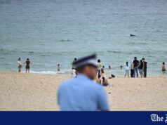 Supostos atiradores de Bondi conduziram treinamento ‘tático’ no campo, diz a polícia