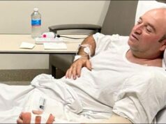 ‘Pulou nas costas dele, bateu nele…’: Herói de Bondi Beach narra como desarmou o atirador de Sydney | Notícias do mundo