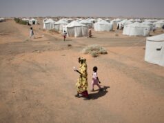 Uma em cada duas crianças está desnutrida em partes de Darfur, no Sudão, afirma ONU | Notícias da guerra no Sudão