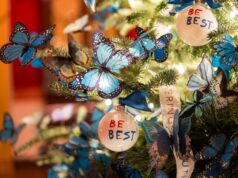 A primeira-dama Melania Trump decora a Casa Branca para o Natal: ‘Casa é onde está nosso coração’