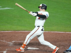 Quais etapas ainda estão disponíveis para os pais?