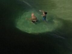 Milhões de anchovas cercam banhistas nas praias do Rio