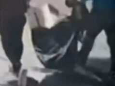 Oito quadros de Henri Matisse roubados no Brasil